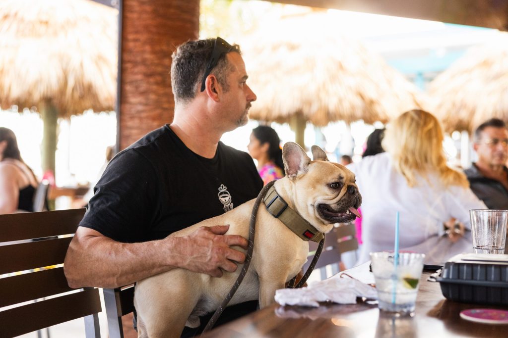 Lucky Fish Guest with Dog